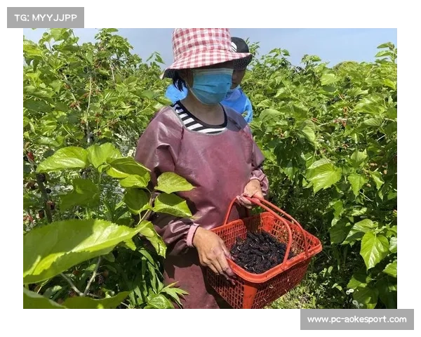 观赛休闲线路助力麟海蔬果采摘基地游客量增长约20% 观赛休闲线路助力麟海蔬果采摘基地游客量增长约20%